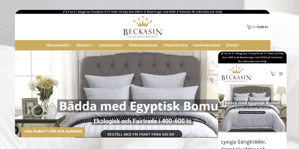 Beckasin website screenshot