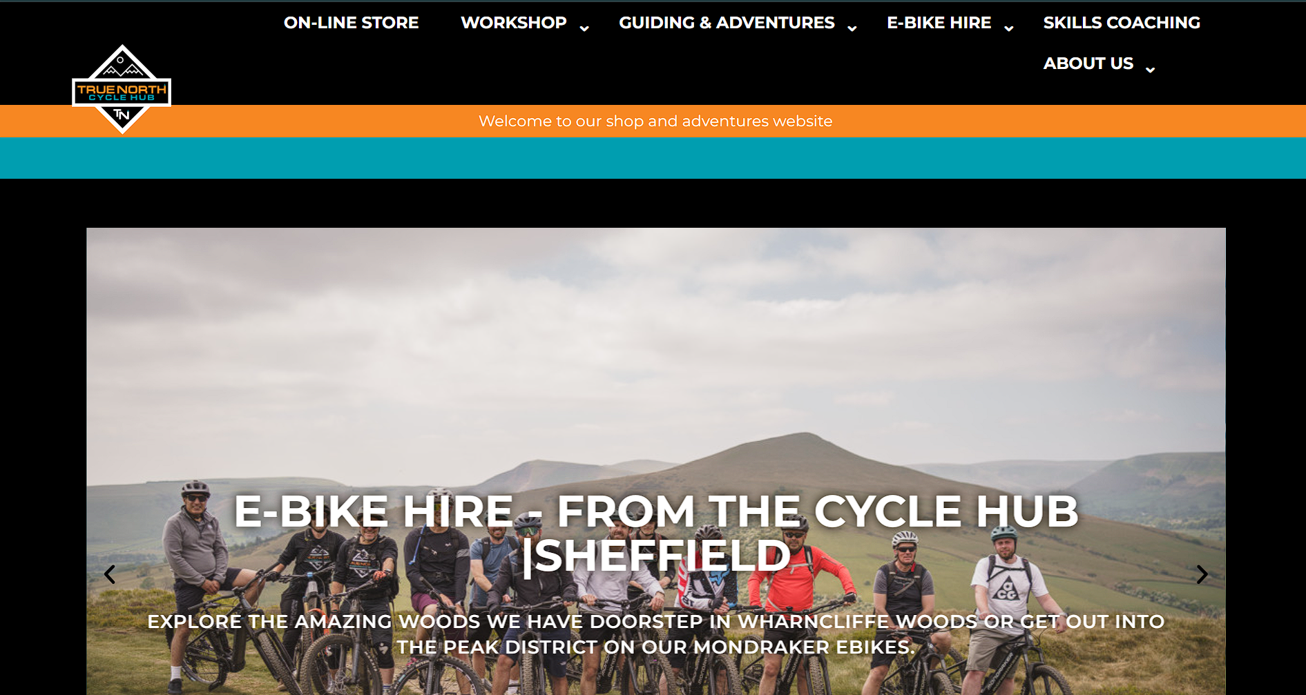 True North website screenshot